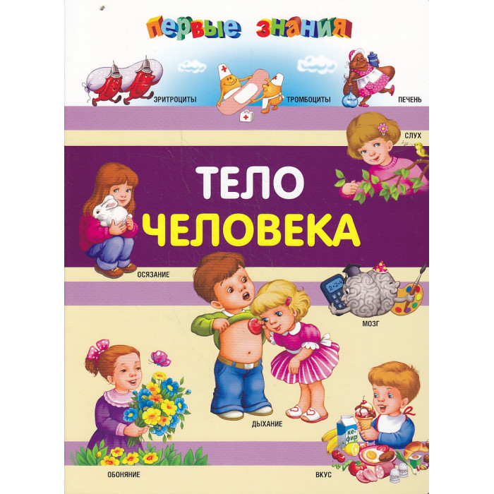 Тело человека