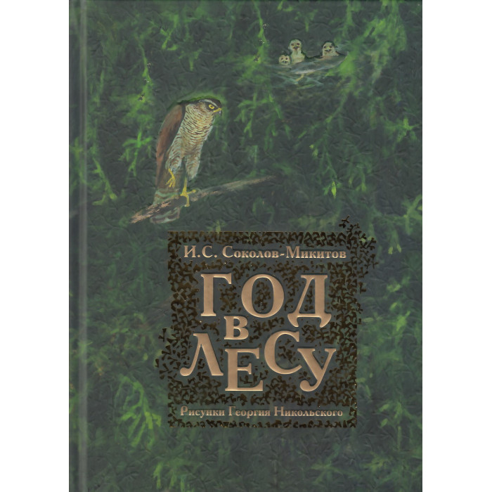 Год в лесу