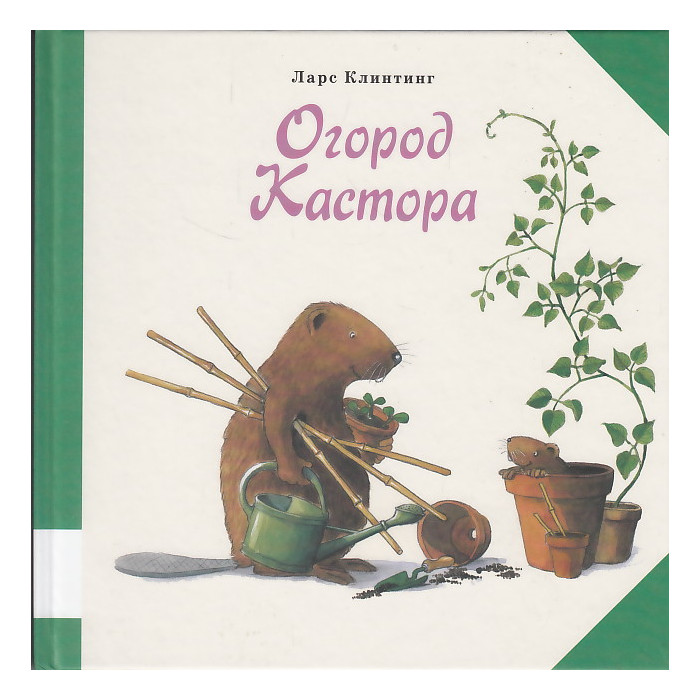 Огород Кастора