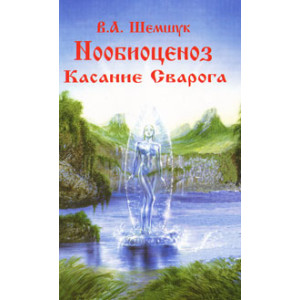 Нообиоценоз. Касание Сварога