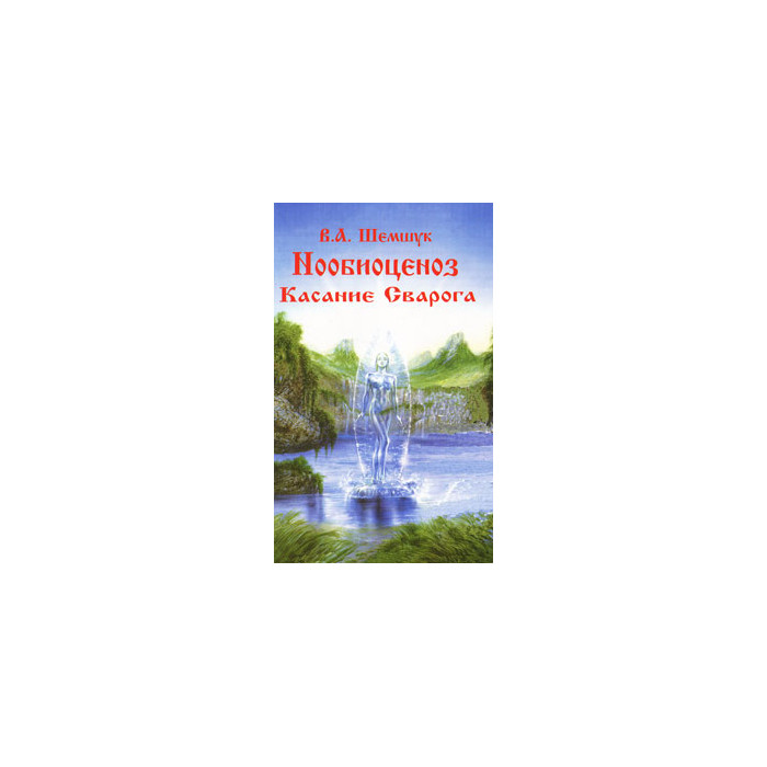 Нообиоценоз. Касание Сварога