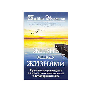 Жизнь между жизнями