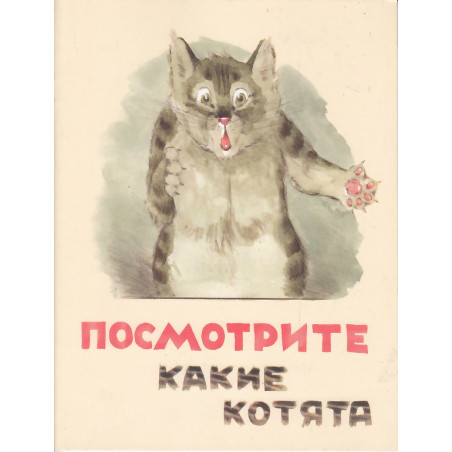 Посмотрите какие котята