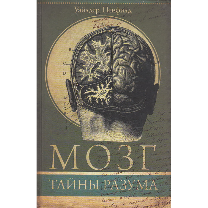 Мозг. Тайны разума
