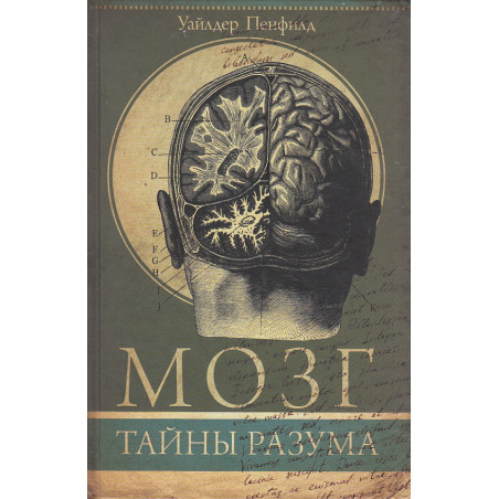 Мозг. Тайны разума