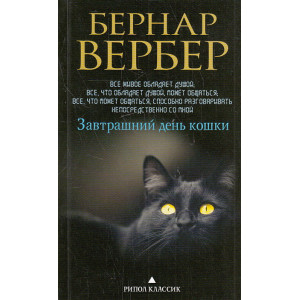 Завтрашний день кошки