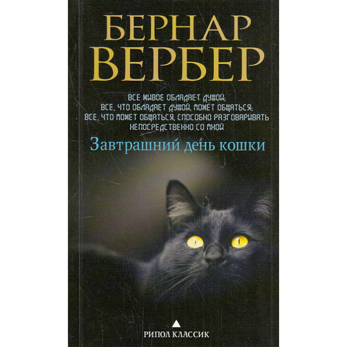 Завтрашний день кошки