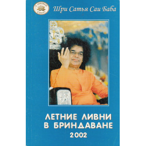 Летние ливни в Бриндаване 2002