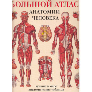 Большой атлас анатомии человека
