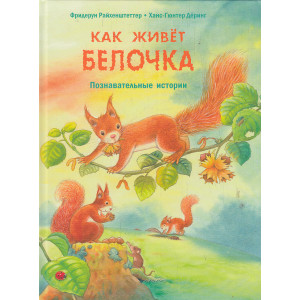 Как живёт белочка. Познавательные истории