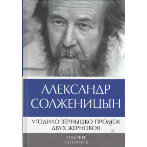 Угодило зернышко промеж двух жерновов. Очерки изгнания