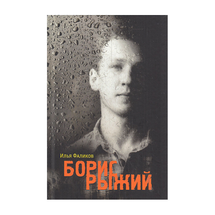 Борис Рыжий. Дивий камень