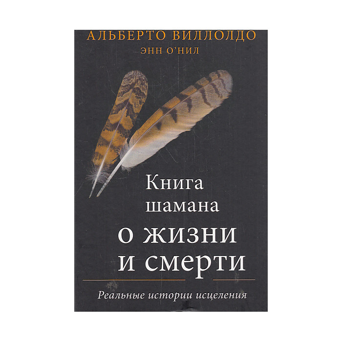 Книга шамана о жизни и смерти. Реальные истории исцеления