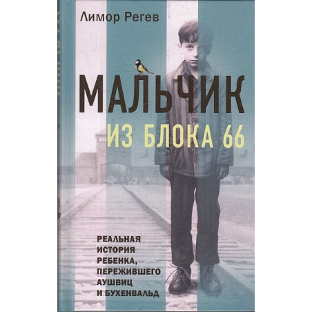 Мальчик из Блока 66