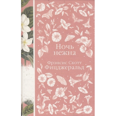 Ночь нежна