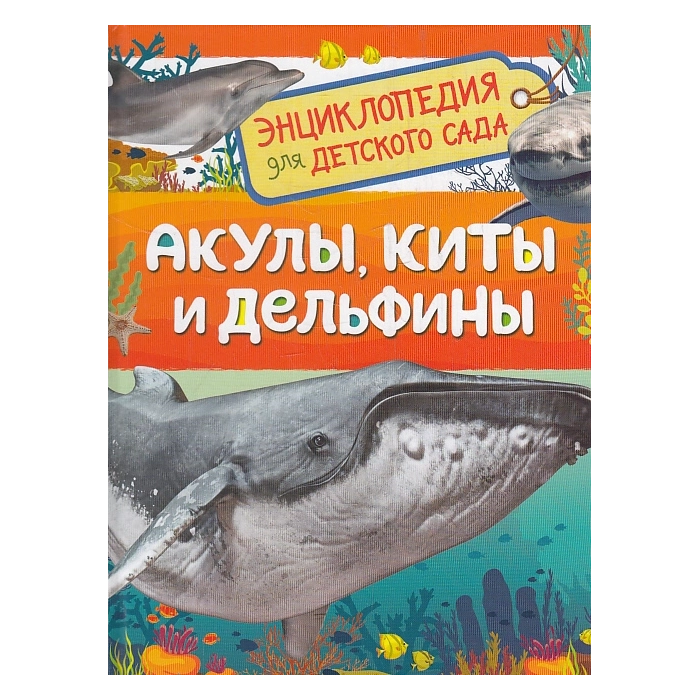 Акулы, киты и дельфины. Энциклопедия для детского сада