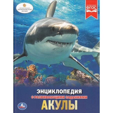 Энциклопедия для детей. Акулы