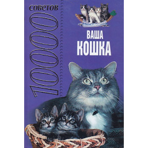 10000 советов. Ваша кошка