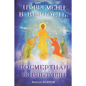 Из времени в вечность. Посмертная жизнь души (+ CD-ROM, + DVD-ROM)